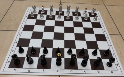Bierki szachowe – kolejny projekt naszych kursantów.