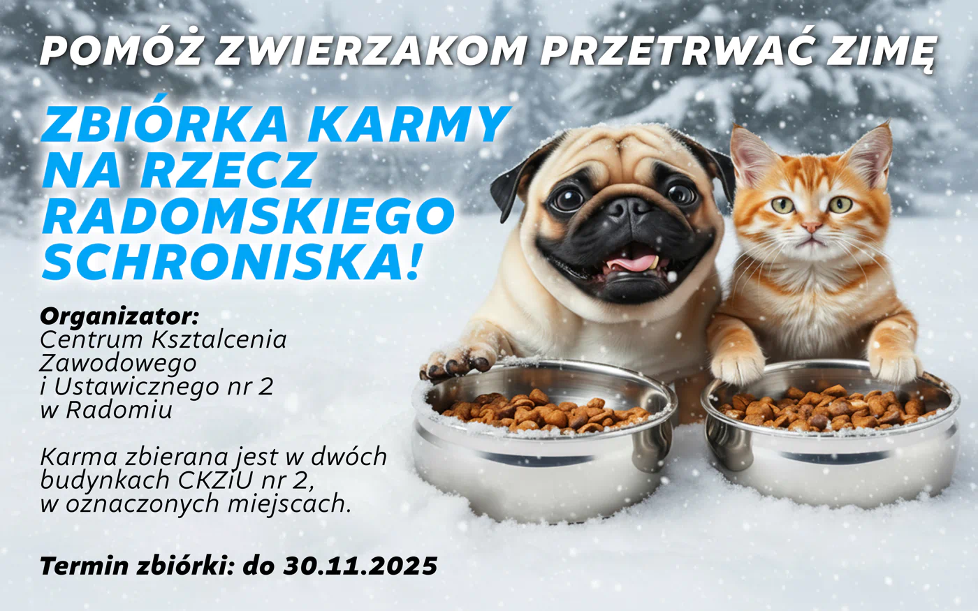 Zbiórka karmy dla zwierząt – CKZiU2 Radom wspiera radomskie schronisko Grafika promująca zbiórkę karmy w CKZiU2 – pies i kot w śniegu przy miskach z karmą, akcja na rzecz radomskiego schroniska